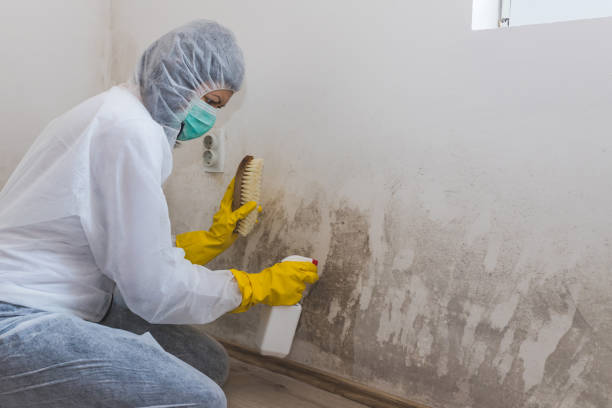 Crawl Space Mold Removal in Hillsboro, ND