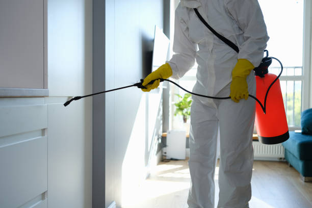 Best Mold Cleaning Services  in Hillsboro, ND